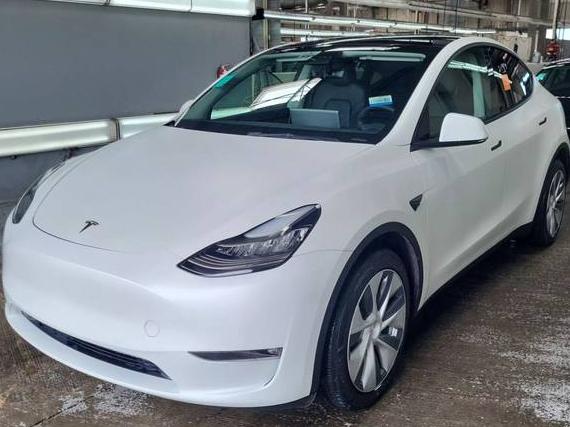 TESLA MODEL Y 2022 7SAYGDEE8NF423236 image